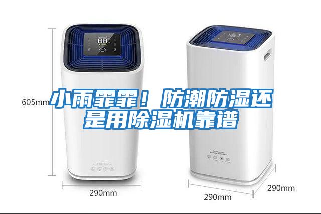 小雨霏霏！防潮防濕還是用除濕機靠譜