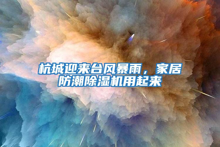 杭城迎來臺(tái)風(fēng)暴雨，家居防潮除濕機(jī)用起來