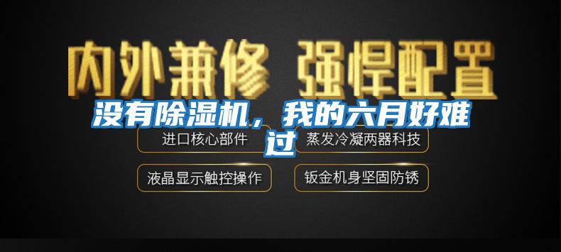 沒有除濕機(jī)，我的六月好難過