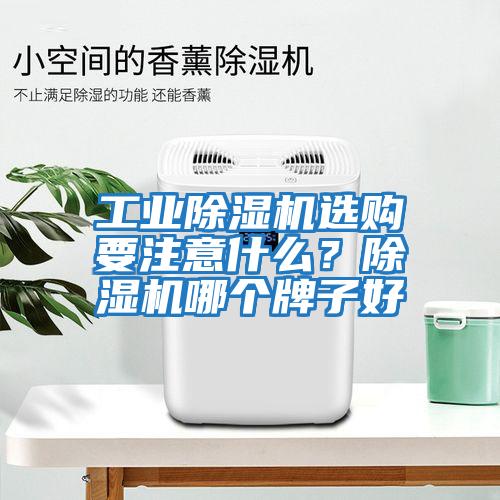 工業(yè)除濕機(jī)選購要注意什么？除濕機(jī)哪個牌子好