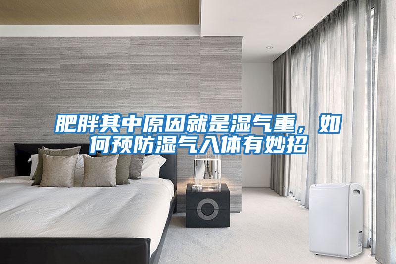 肥胖其中原因就是濕氣重，如何預防濕氣入體有妙招