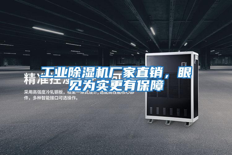 工業(yè)除濕機(jī)廠家直銷,眼見為實更有保障