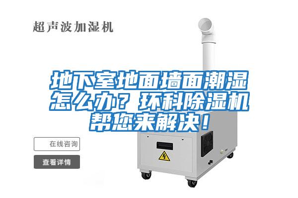 地下室地面墻面潮濕怎么辦？環科除濕機幫您來解決！