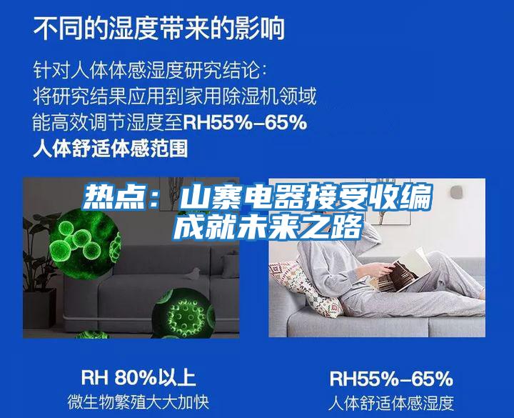 熱點:山寨電器接受收編 成就未來之路