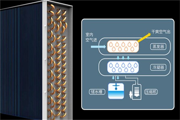 這些行業需要應用工業除濕機，你知道有哪些嗎？