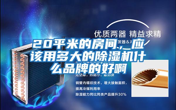 20平米的房間，應(yīng)該用多大的除濕機(jī)什么品牌的好啊