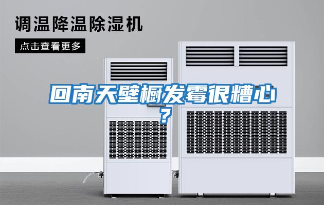 回南天壁櫥發(fā)霉很糟心？