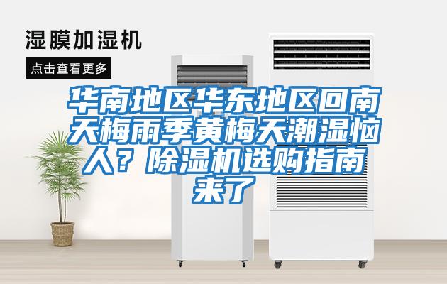 華南地區華東地區回南天梅雨季黃梅天潮濕惱人？除濕機選購指南來了