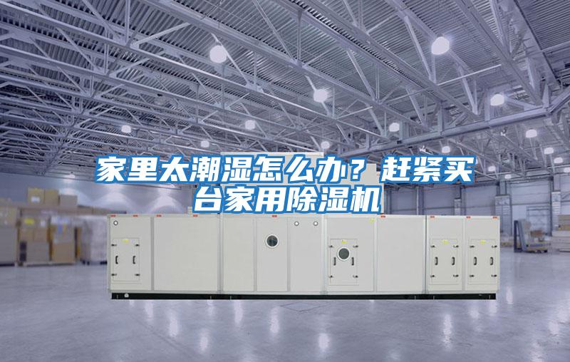 家里太潮濕怎么辦？趕緊買(mǎi)臺(tái)家用除濕機(jī)