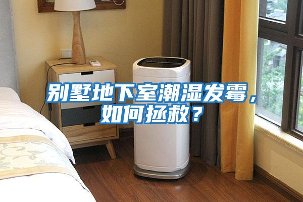 別墅地下室潮濕發霉，如何拯救？