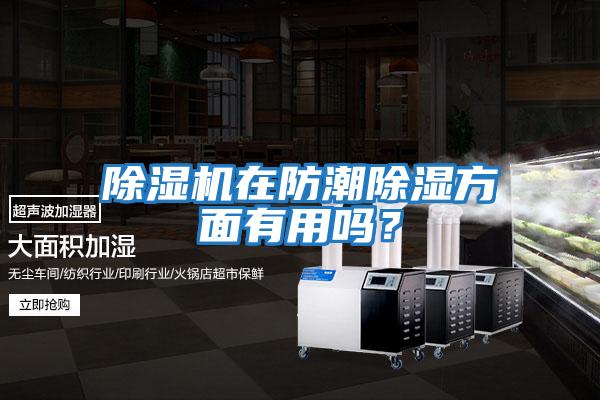 除濕機(jī)在防潮除濕方面有用嗎?