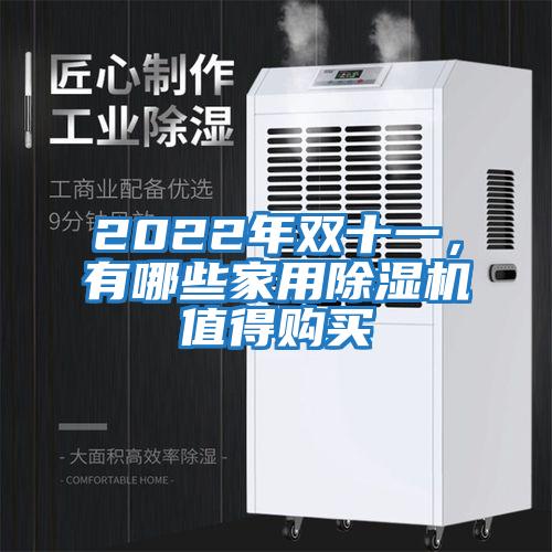 2022年雙十一，有哪些家用除濕機值得購買