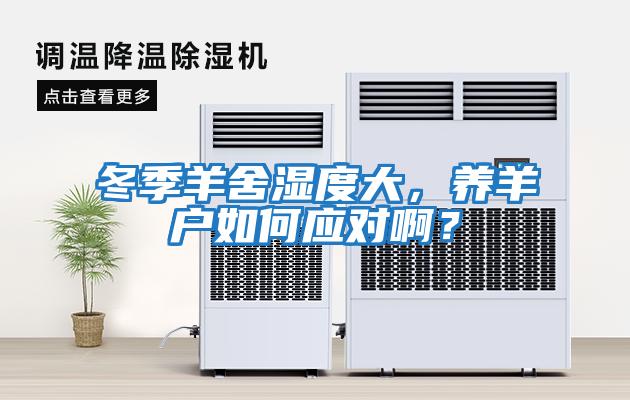 冬季羊舍濕度大，養羊戶如何應對?。?/></p>
						    <p style=