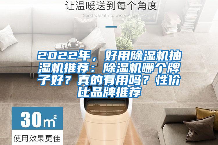 2022年，好用除濕機(jī)抽濕機(jī)推薦：除濕機(jī)哪個牌子好？真的有用嗎？性價比品牌推薦