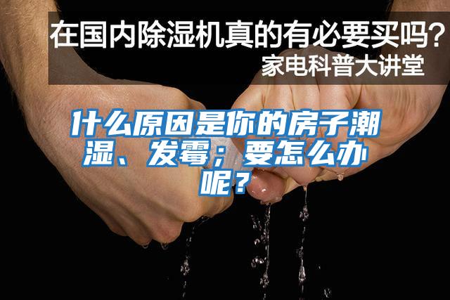 什么原因是你的房子潮濕、發(fā)霉；要怎么辦呢？