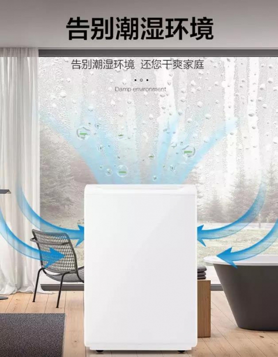 南方進入回南天，多肉植物這樣養才不會有事！