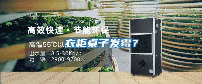 衣柜桌子發霉？