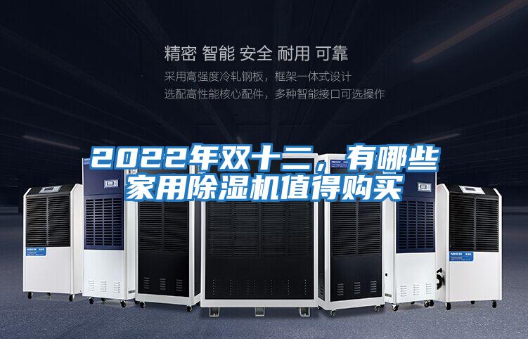 2022年雙十二，有哪些家用除濕機(jī)值得購(gòu)買
