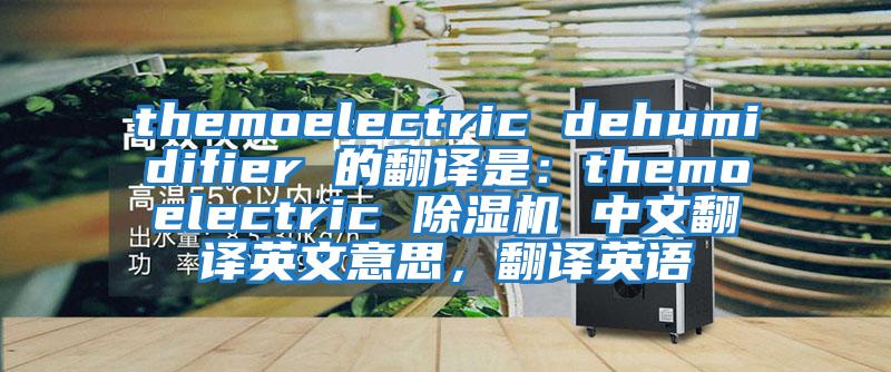 themoelectric dehumidifier 的翻譯是：themoelectric 除濕機 中文翻譯英文意思，翻譯英語