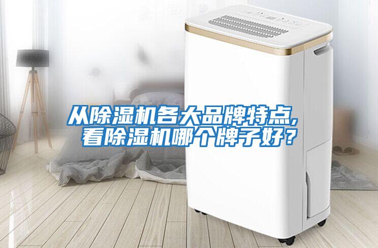 從除濕機各大品牌特點, 看除濕機哪個牌子好？