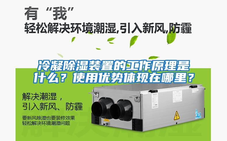 冷凝除濕裝置的工作原理是什么？使用優勢體現在哪里？