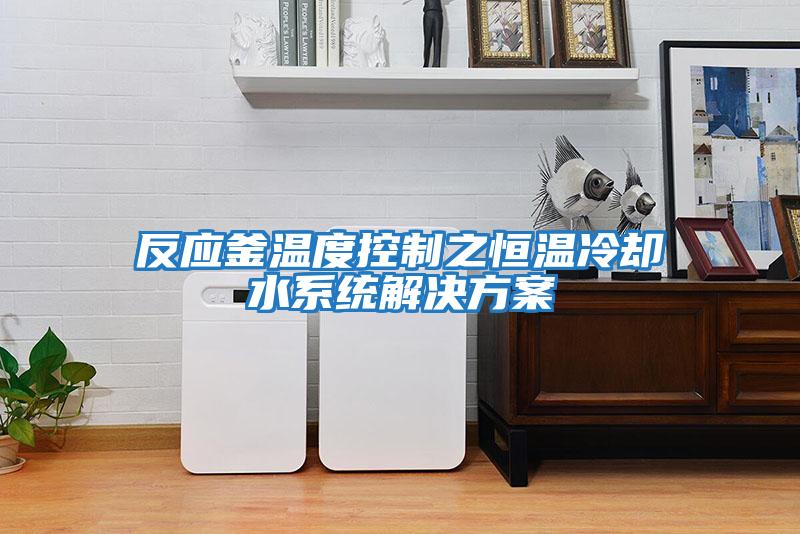 反應釜溫度控制之恒溫冷卻水系統(tǒng)解決方案
