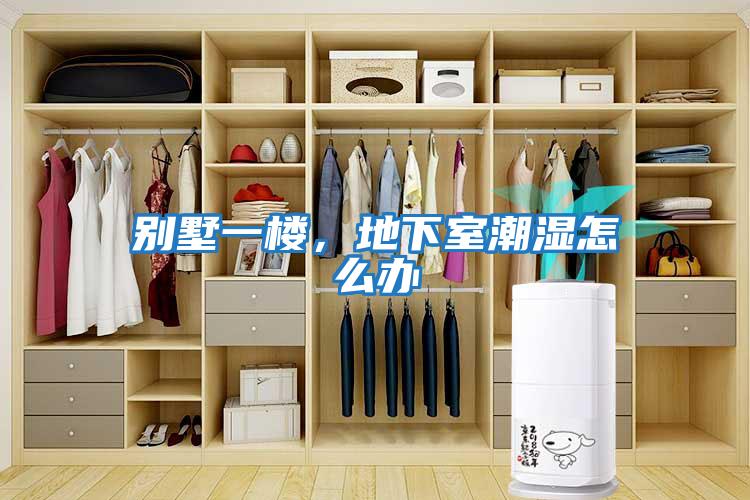 別墅一樓，地下室潮濕怎么辦