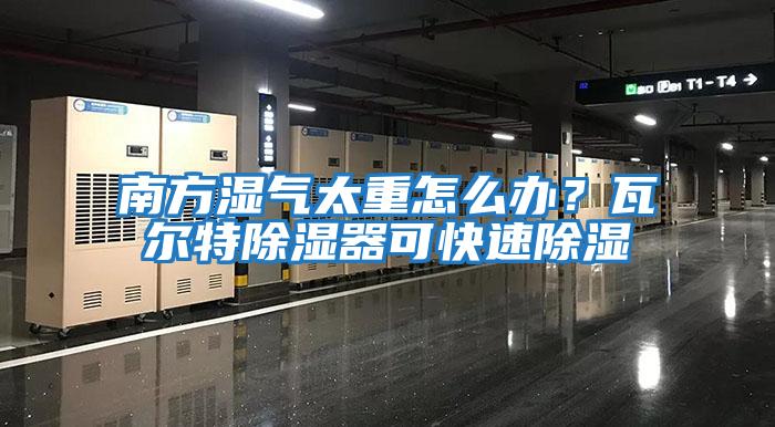 南方濕氣太重怎么辦？瓦爾特除濕器可快速除濕