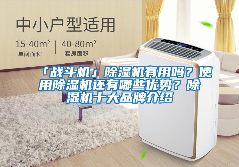 「戰(zhàn)斗機」除濕機有用嗎？使用除濕機還有哪些優(yōu)勢？除濕機十大品牌介紹