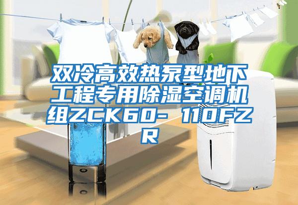 雙冷高效熱泵型地下工程專用除濕空調機組ZCK60- 110FZR