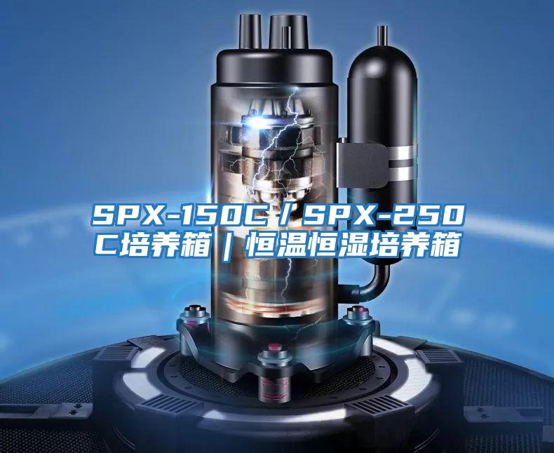 SPX-150C/SPX-250C培養(yǎng)箱|恒溫恒濕培養(yǎng)箱