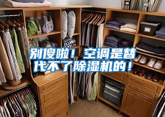 別傻啦！空調是替代不了除濕機的！