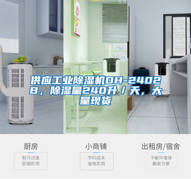供應(yīng)工業(yè)除濕機(jī)DH-2402B，除濕量240升／天，大量現(xiàn)貨