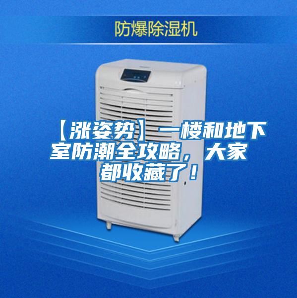 【漲姿勢】一樓和地下室防潮全攻略，大家都收藏了！