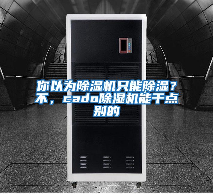 你以為除濕機只能除濕?不,cado除濕機能干點別的