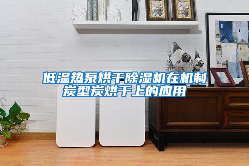 低溫?zé)岜煤娓沙凉駲C(jī)在機(jī)制炭型炭烘干上的應(yīng)用