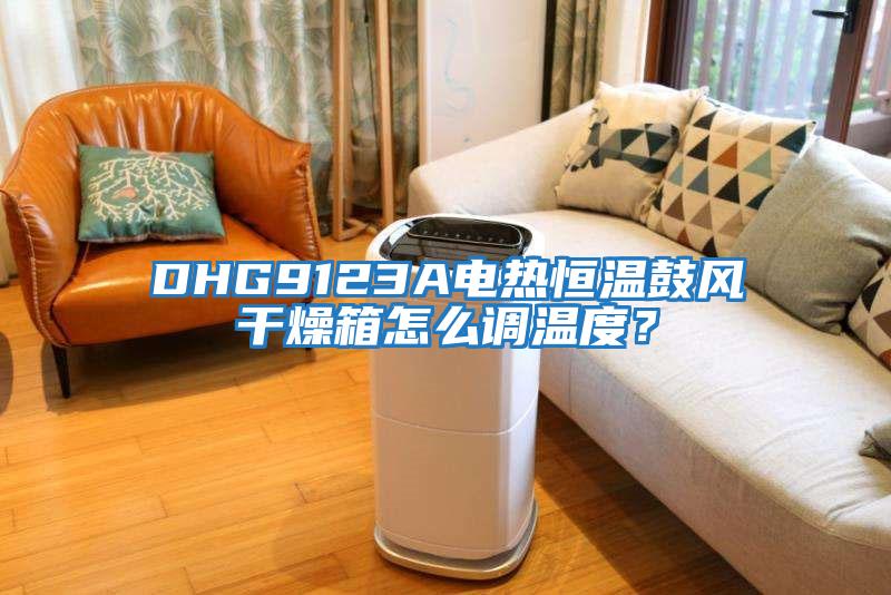 DHG9123A電熱恒溫鼓風干燥箱怎么調(diào)溫度?