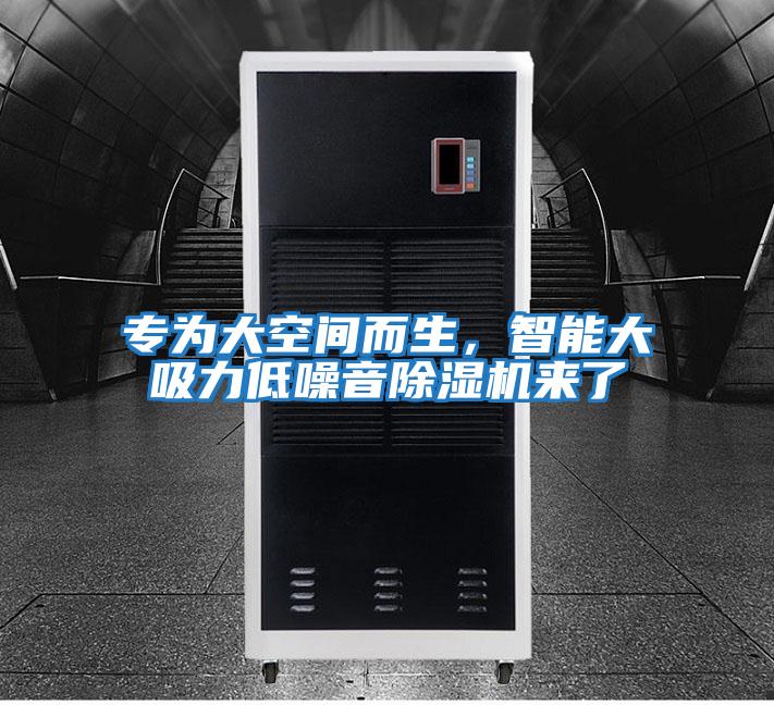 專為大空間而生，智能大吸力低噪音除濕機來了