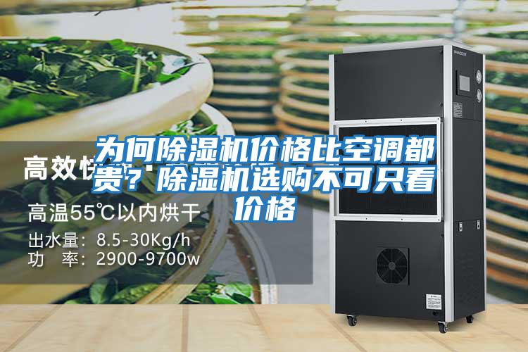 為何除濕機價格比空調(diào)都貴？除濕機選購不可只看價格