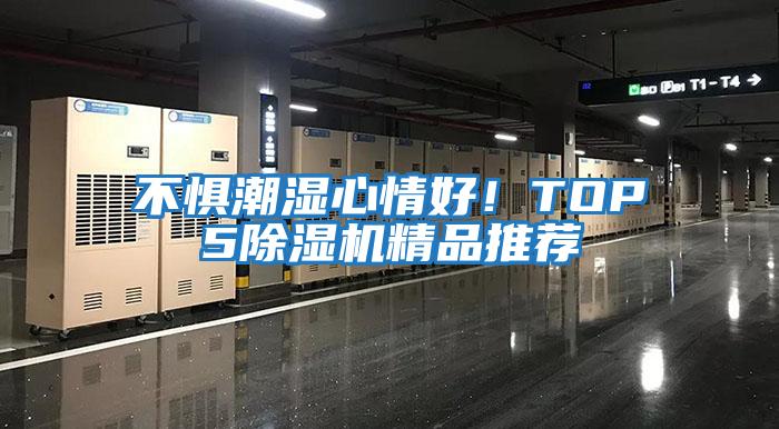 不懼潮濕心情好！TOP5除濕機精品推薦