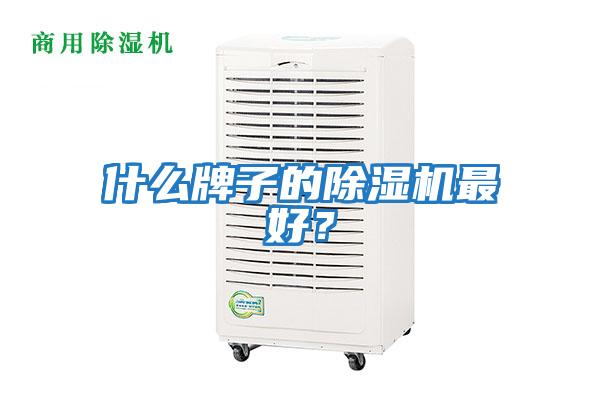 什么牌子的除濕機(jī)最好?