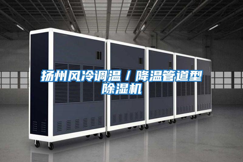 揚州風冷調溫/降溫管道型除濕機