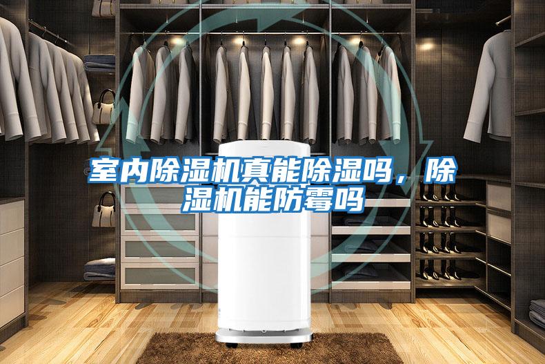 室內除濕機真能除濕嗎，除濕機能防霉嗎