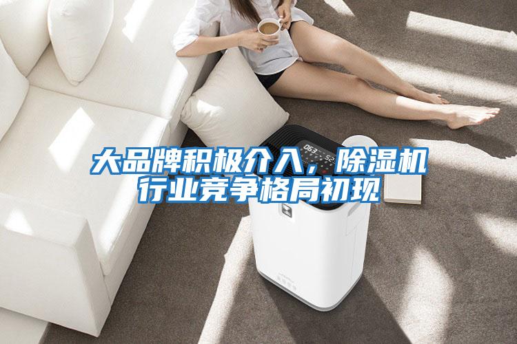 大品牌積極介入,除濕機行業(yè)競爭格局初現(xiàn)