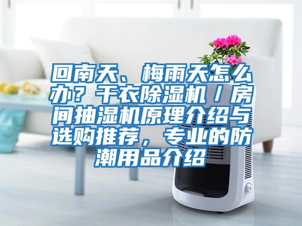 回南天、梅雨天怎么辦？干衣除濕機／房間抽濕機原理介紹與選購推薦，專業的防潮用品介紹