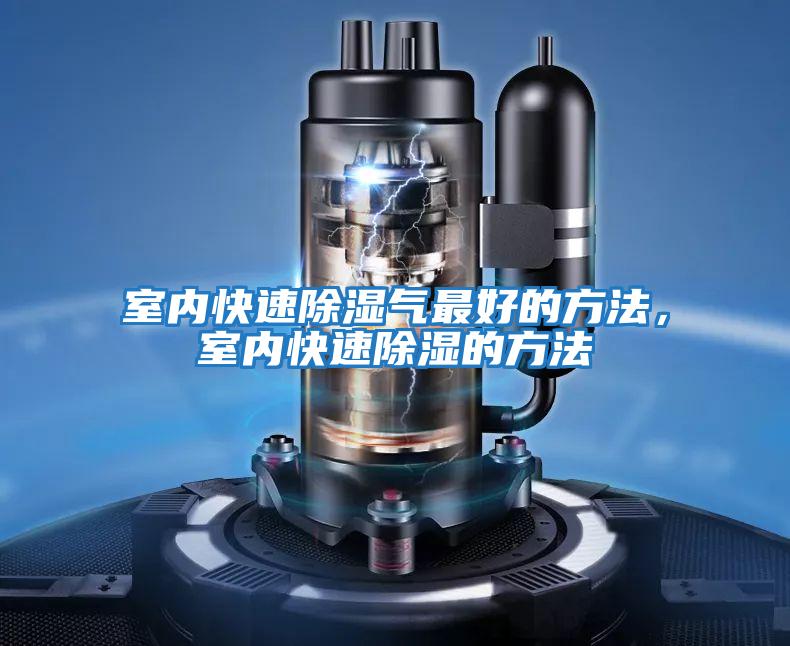 室內快速除濕氣最好的方法，室內快速除濕的方法