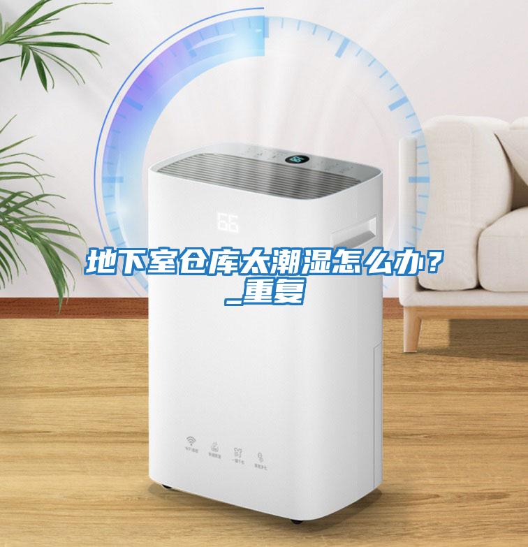 地下室倉(cāng)庫(kù)太潮濕怎么辦？_重復(fù)