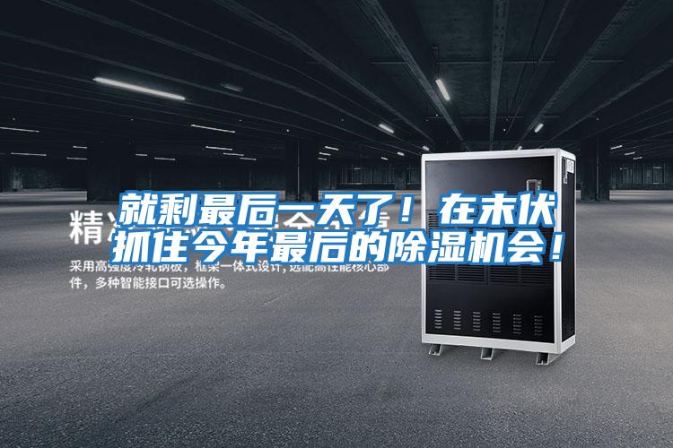 就剩最后一天了!在末伏抓住今年最后的除濕機會!