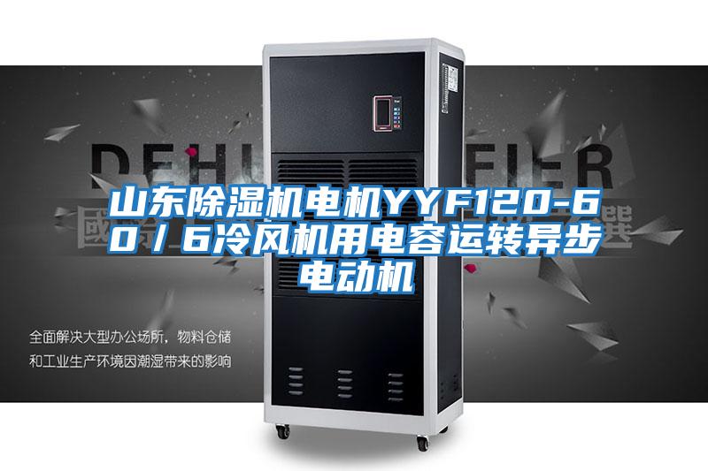 山東除濕機電機YYF120-60/6冷風(fēng)機用電容運轉(zhuǎn)異步電動機