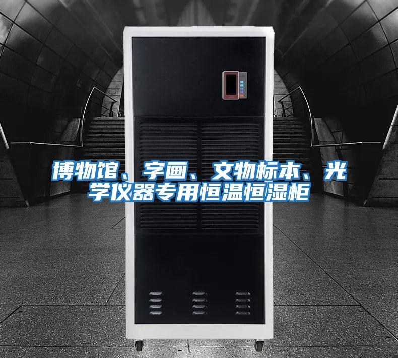 博物館、字畫、文物標本、光學儀器專用恒溫恒濕柜